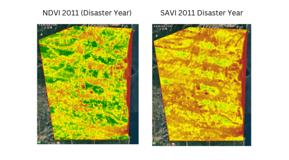 Remote-Sensing Change Analysis